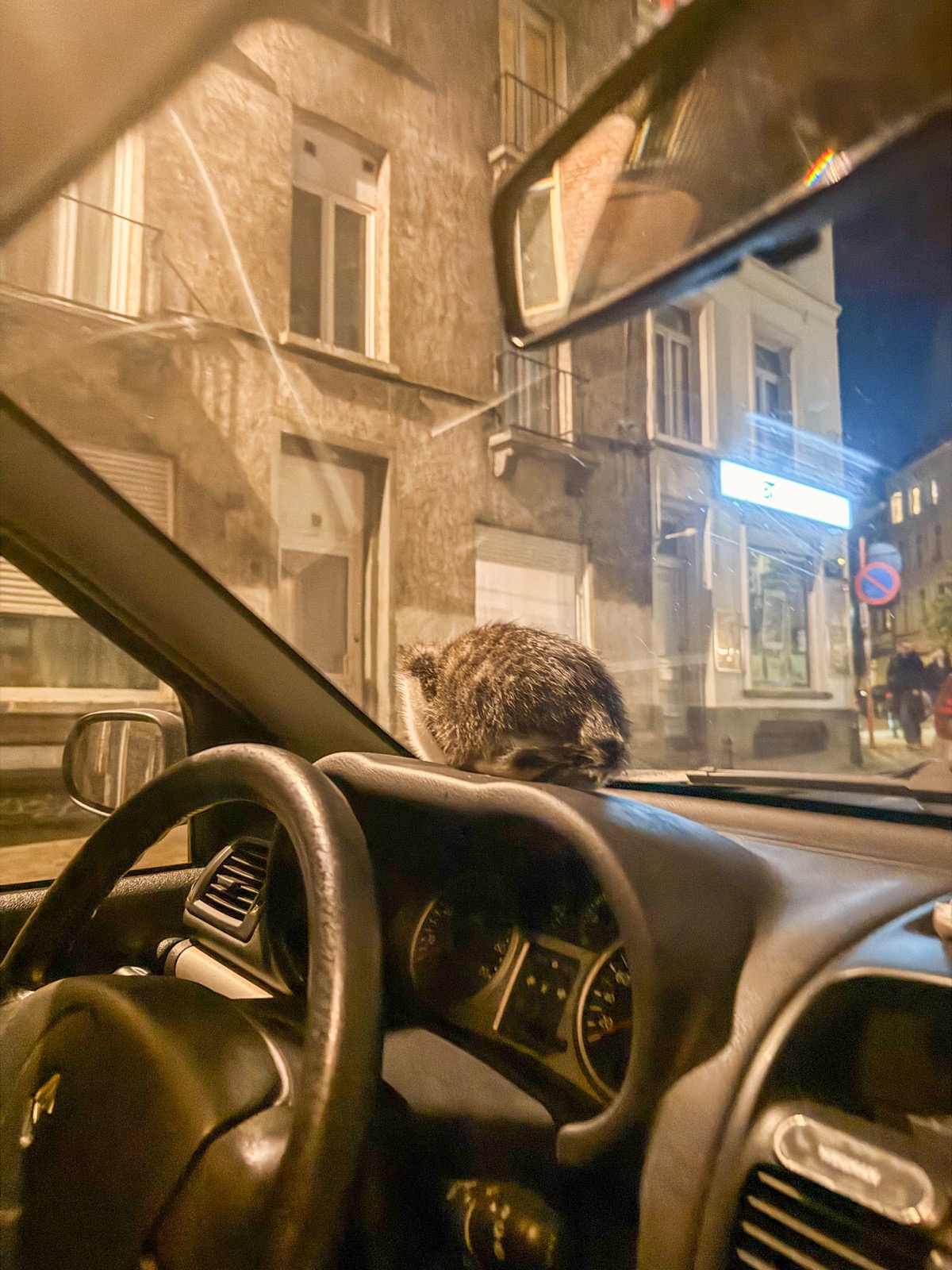 an unexpected passenger