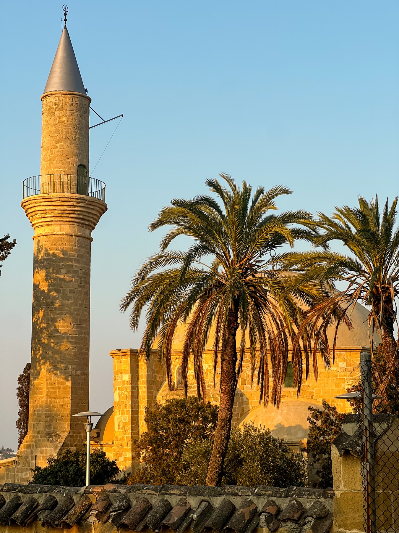 Minaret and palm trees in warm evening light