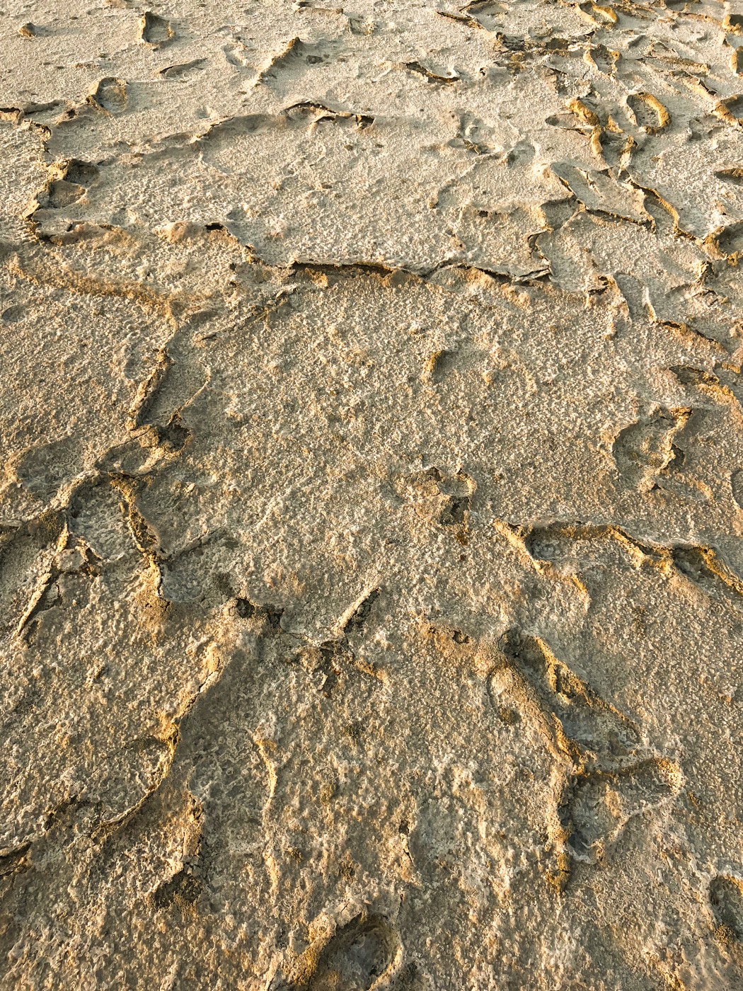 Footprints and marks in pale stone