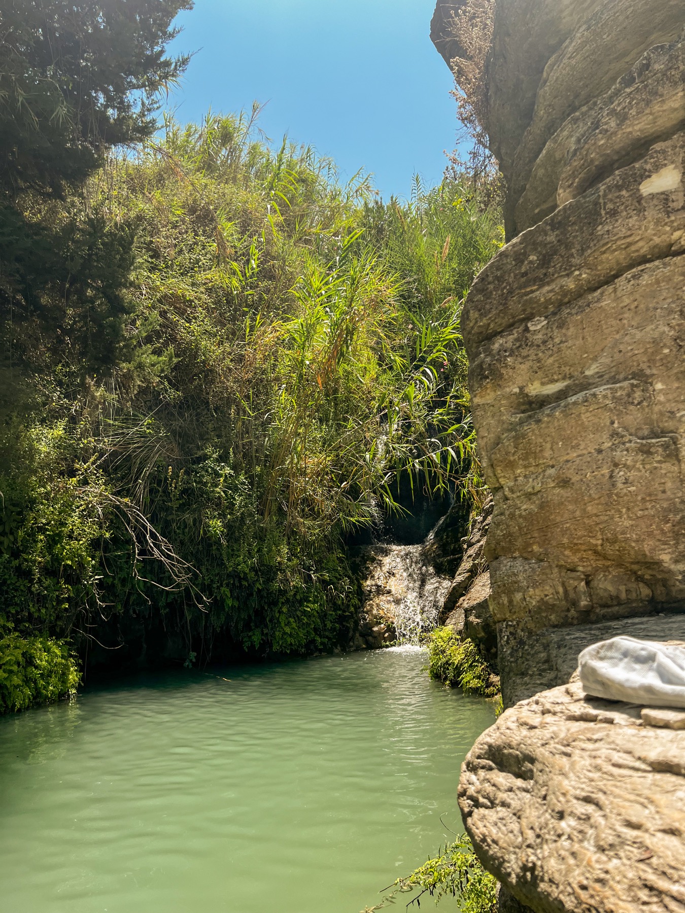 A small waterfall flowing into a green pool