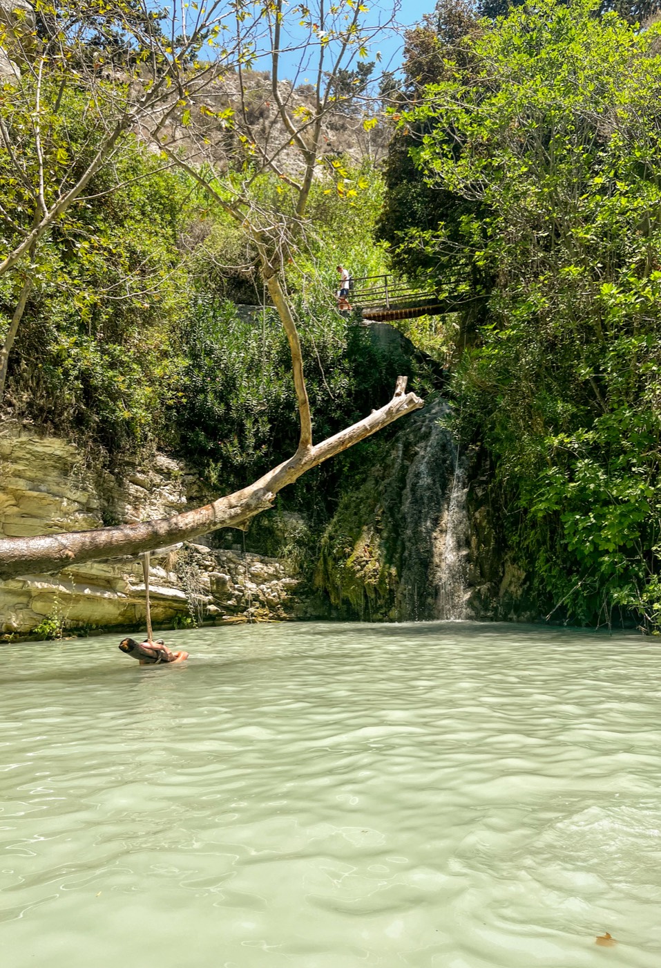 Green pool and waterfall with a rope swing