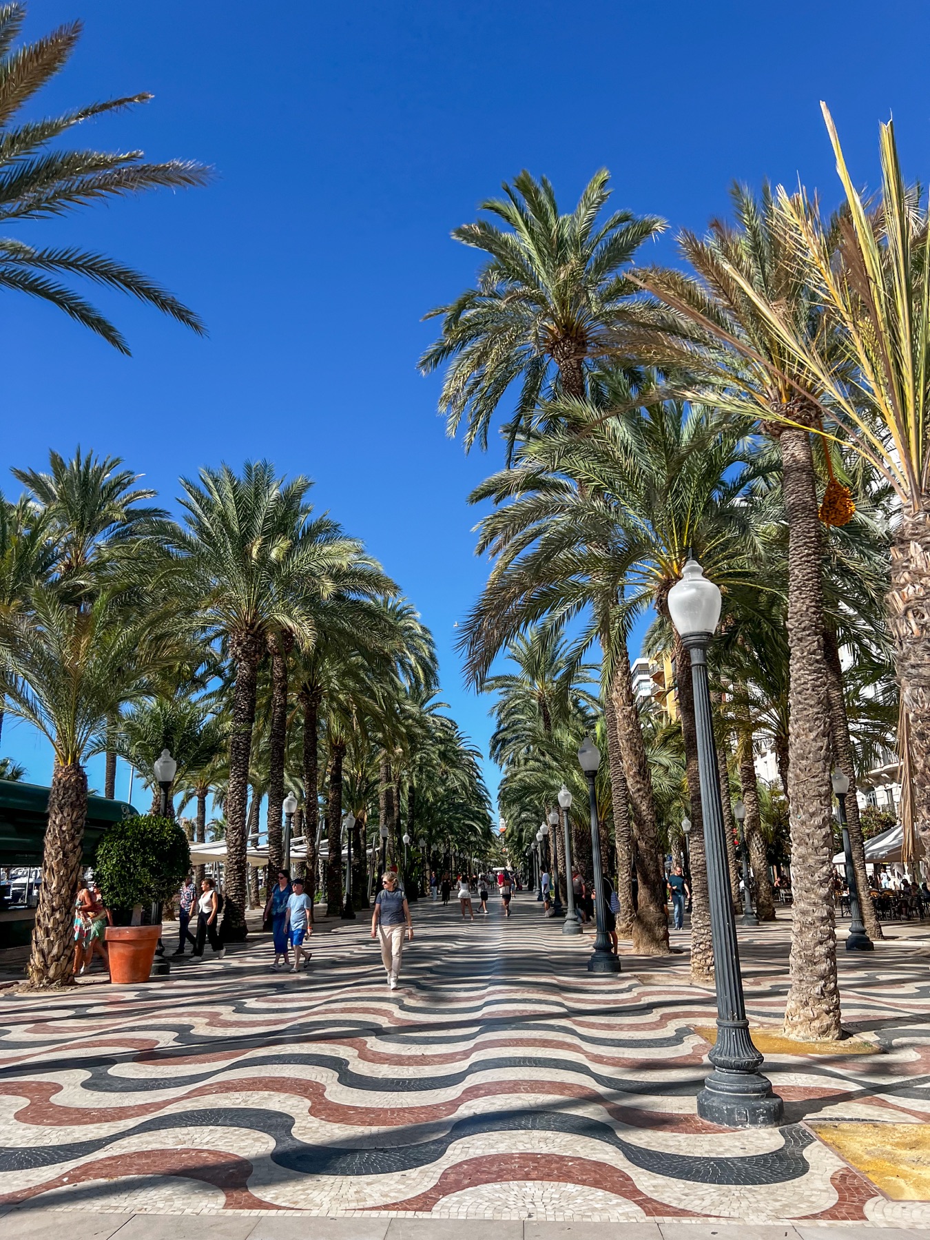 Palm-lined Esplanade of Alicante