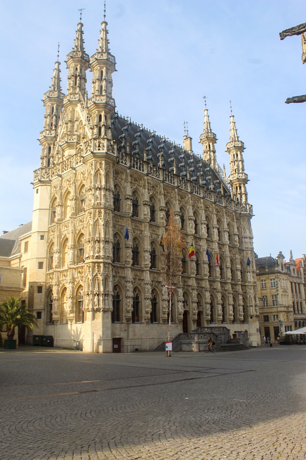leuven in lace
