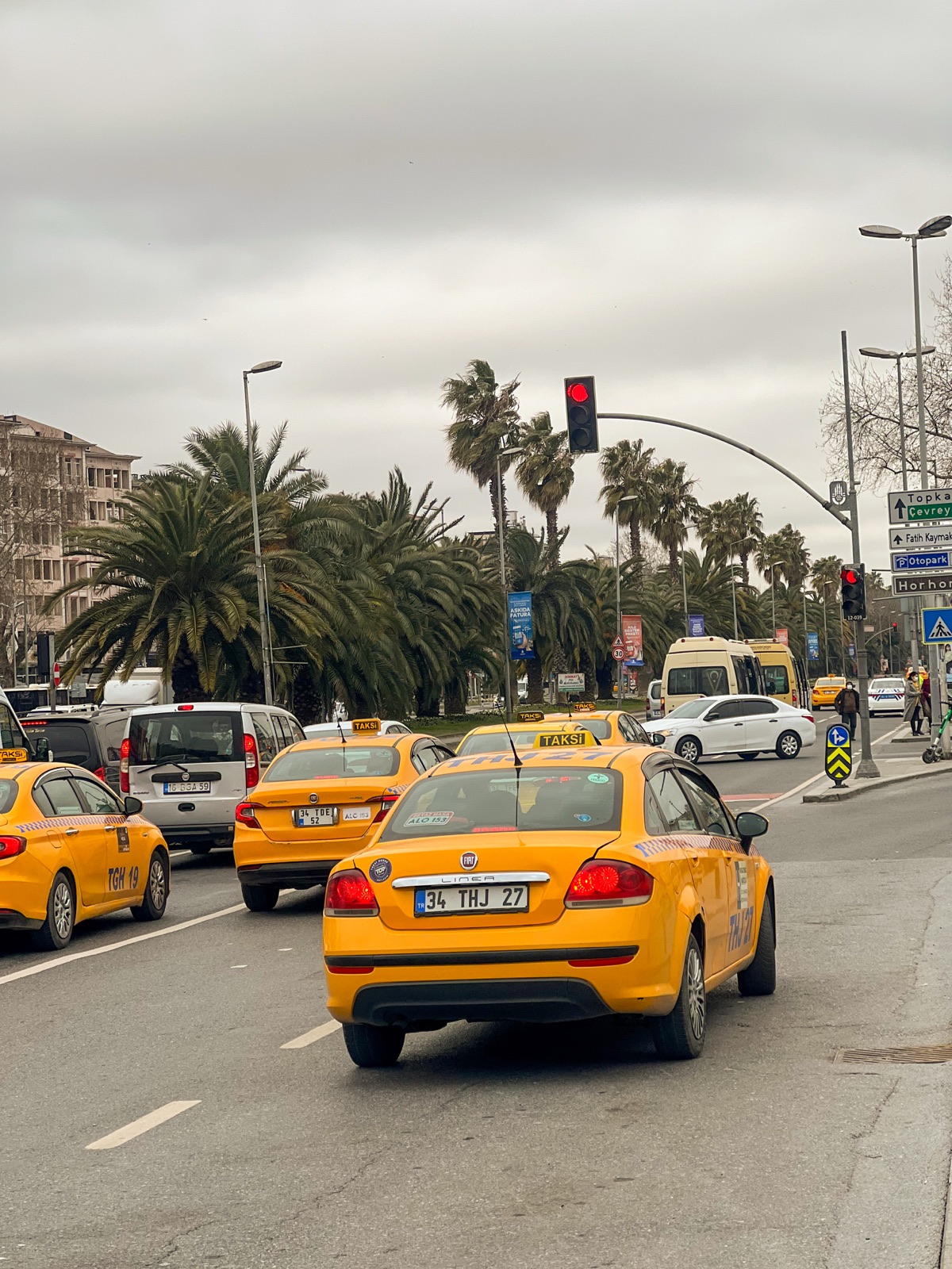 Yellow taxis on a palm lined road